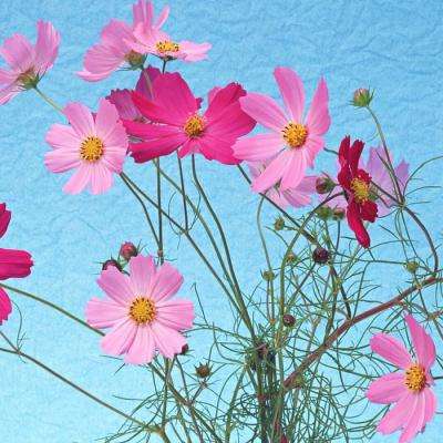 万博ManBetX登录网页版下载手机版